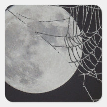 A world Wide Web Square Sticker