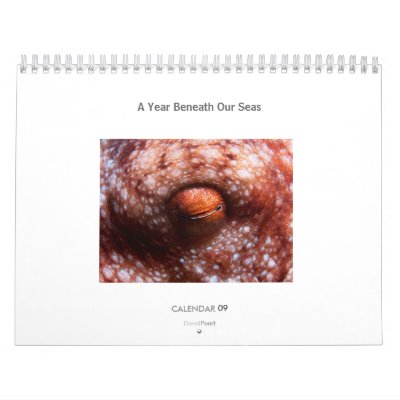 A Year Beneath Our Seas - Calendar 2009 by earthlight