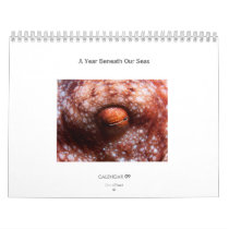 A Year Beneath Our Seas - Calendar 2009