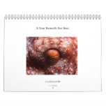 A Year Beneath Our Seas - Calendar 2009