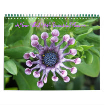 A Year Filled With Beautiful Flowers... Wall Calendars