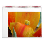 A Year in Back Yard Flowers Wall Calendar