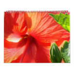 A Year in Back Yard Flowers Calendars