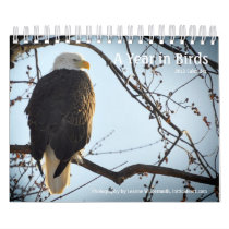 A Year in Birds - 2012 Calendar