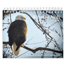 A Year in Birds - 2012 Calendar