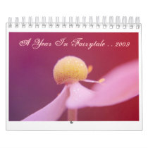 A Year In Fairytale 2009 calendars