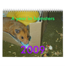 A year in hamsters, 2009 Calendar