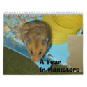 A Year in Hamsters 2010 calendars