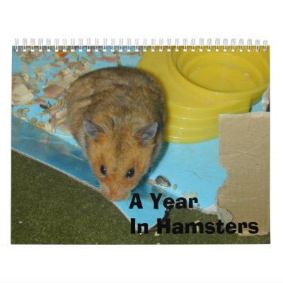 A Year in Hamsters 2010 Wall Calendar by sunhe33