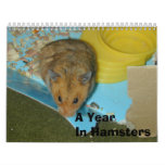 A Year in Hamsters 2010 Wall Calendar