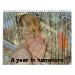 A year in hamsters wall calendars