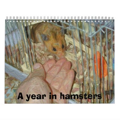 A year in hamsters wall calendars by sunhe33