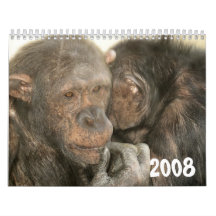 A Year in Pictures Calendars