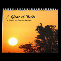 A Year of Birds 2013 Calendar calendars