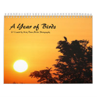A Year of Birds calendar