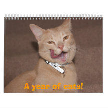 A year of cats! calendar