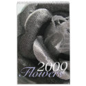A Year of Flowers 2009 Desktop Calendar