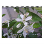A Year of Flowers Wall Calendars