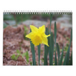 A Year of Flowers Wall Calendars