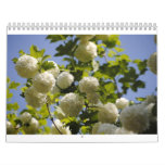 a year of flowers wall calendar