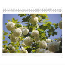 a year of flowers wall calendar