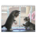 A year of fuzzybutts calendars