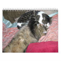 A year of kitty cats calendars