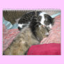 A year of kitty cats (US edition)