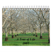 A Year of Life Calender 2007 calendars