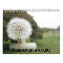 A year of nature calendars