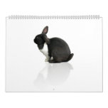 A Year of Rupert Calendar