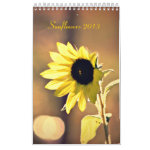 A Year of Sunflowers 2013 Calendar