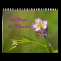 A Year to Bloom floral 2013 calendar calendars