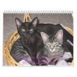 A Year with  and Abby 2008 Wall Calendar