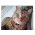 A Year With Pokey Calendars