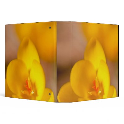 A yellow crocus blooms in Portsmouth, New Vinyl Binder by danitadelimont