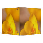 A yellow crocus blooms in Portsmouth, New Vinyl Binder