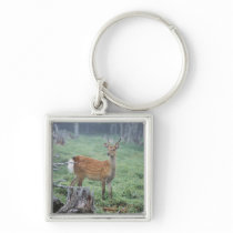 A young deer in a forest clearing key chain