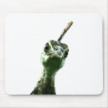 A young peacock's head peering over to say hi! mouse pad
