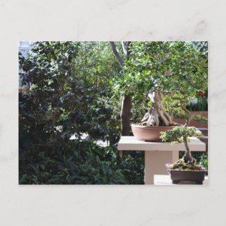A Zen Garden Post Cards