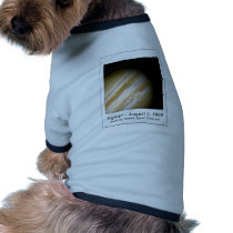 AA161 pet clothing