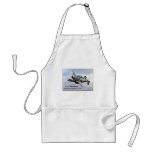 AA166 aprons
