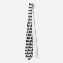 AA174 NECKTIES
