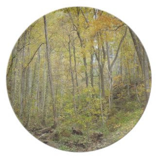 AA-  Autumn Trees Nature Photography Plate