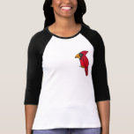 AA- Cartoon Cardinal Shirt
