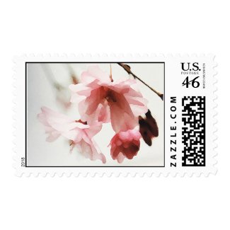 AA- Cherry blossom stamps stamp