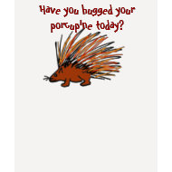AA- Have you hugged your porcupine today? shirt shirt