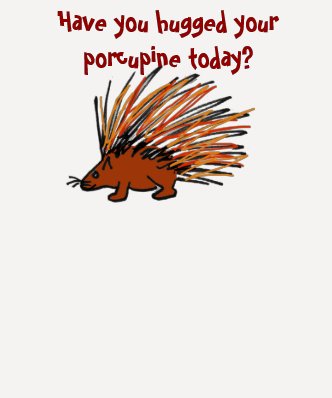 AA- Have you hugged your porcupine today? shirt