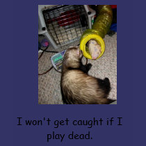 aa, I won't get caught if I play dead. t-shirts