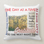 aa slogans pillow